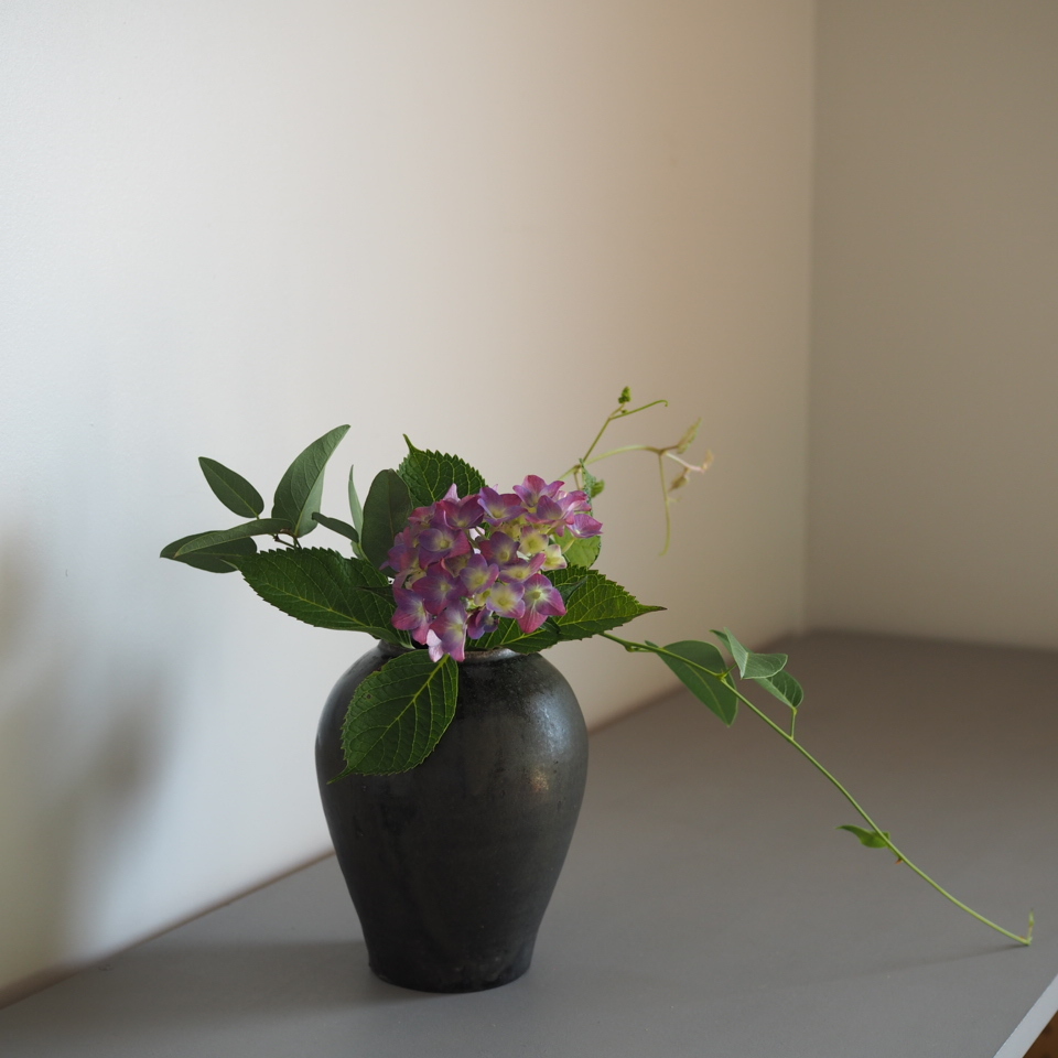 緑と花で_b0206421_10274984.jpg