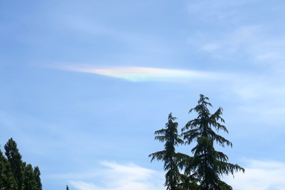UFOか空に光る緑 彩雲らしい_f0234936_20444766.jpg
