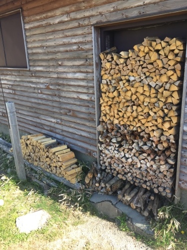 雁坂嶺まで巡視してきました_c0369344_15082706.jpeg