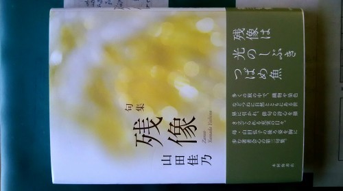 山田佳乃句集『残像』 : 六四三の俳句覚書