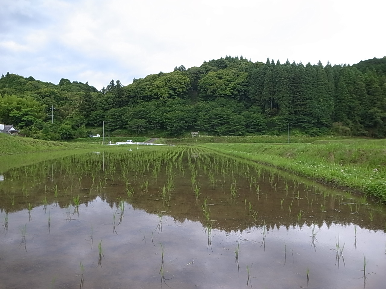 失敗なら失敗で失敗しないとわからない_a0163259_17104462.jpg