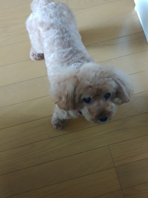 やっぱり私には・・・向いてないのかも?_c0162773_20022883.jpg
