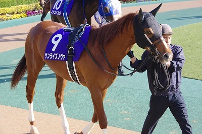 ノヴァ サンライズ