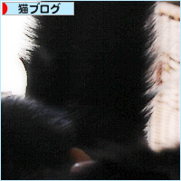個性的太しっぽ_a0389088_18583731.jpg