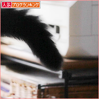 個性的太しっぽ_a0389088_18583749.jpg