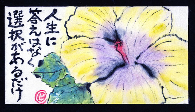 拾いもの_f0346196_16493134.jpg
