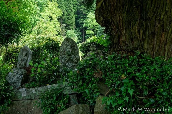 満願寺の九州観音霊場三十三ヶ所_e0135098_02023190.jpg