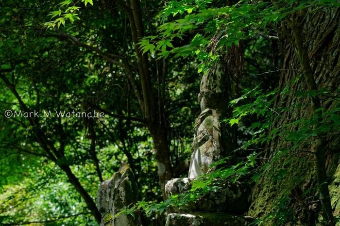 満願寺の九州観音霊場三十三ヶ所_e0135098_02030324.jpg