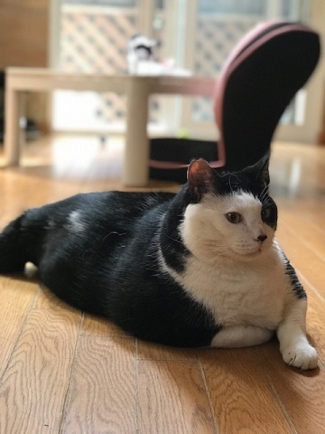 少しだけダイエット♪_f0242002_12494795.jpg