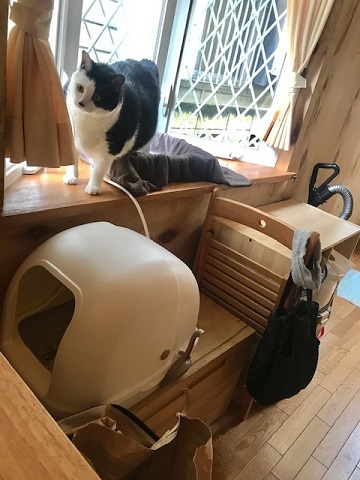 少しだけダイエット♪_f0242002_12545319.jpg