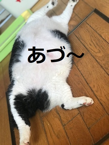 少しだけダイエット♪_f0242002_12583612.jpg