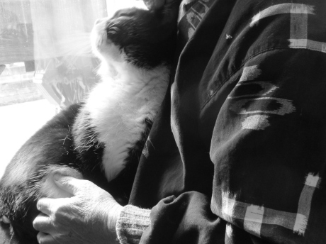 オジ写真_a0203003_20533943.jpg
