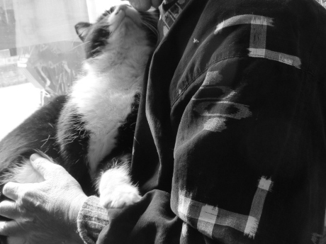 オジ写真_a0203003_20535251.jpg