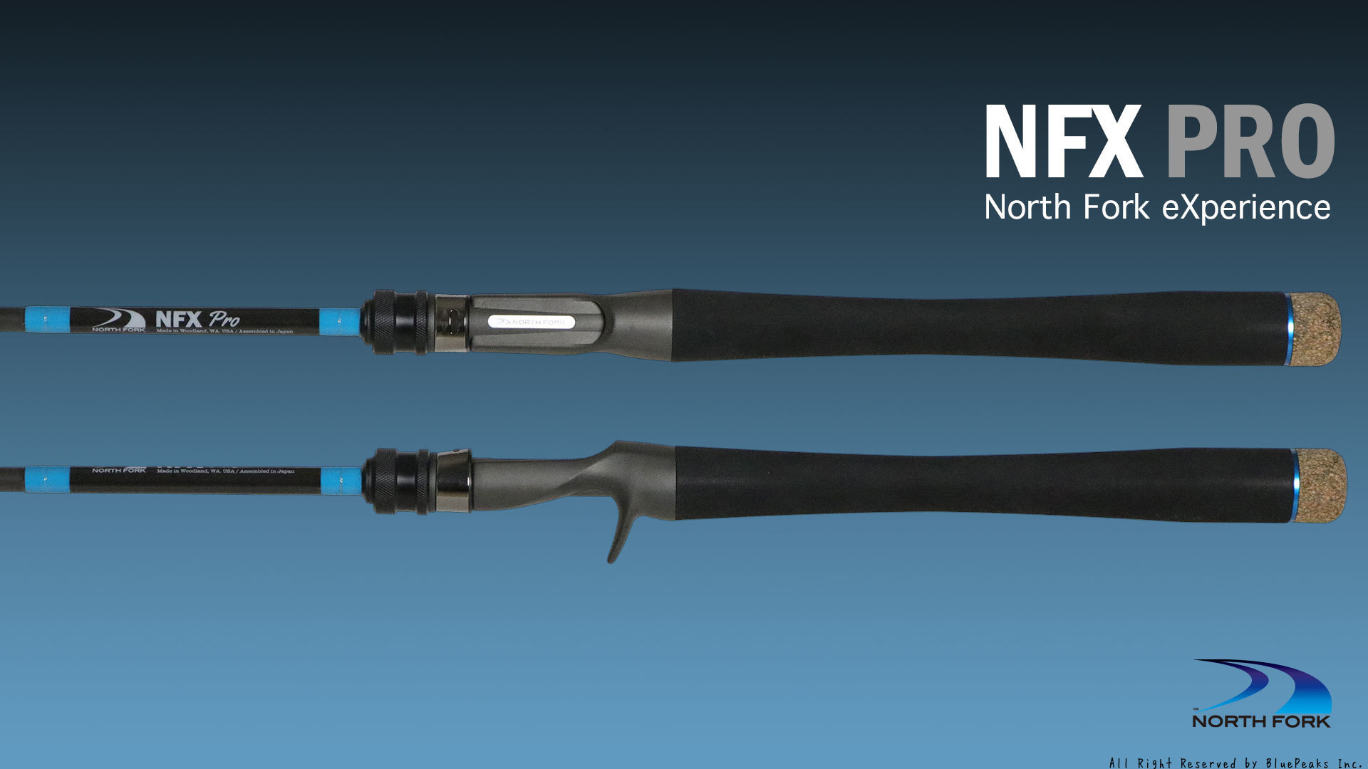 NFX PRO #1:ショートディスタンスクランキングロッド_a0183304_11105533.jpg