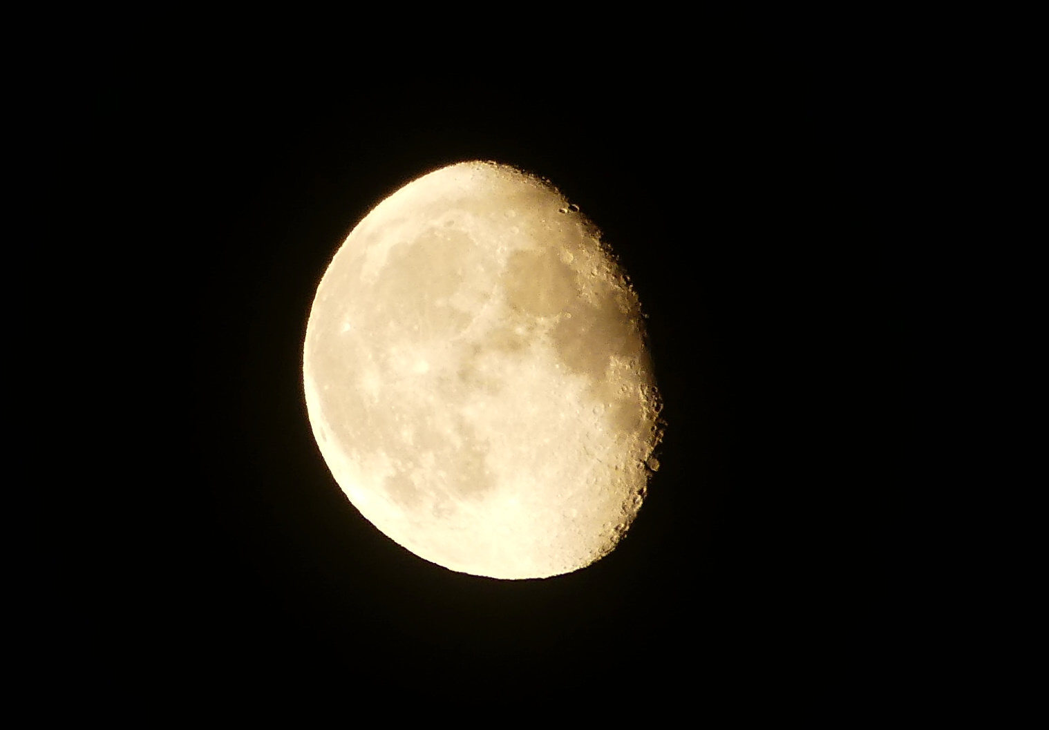 2020 06 11未明 月 アジサイ_d0127815_2162113.jpg