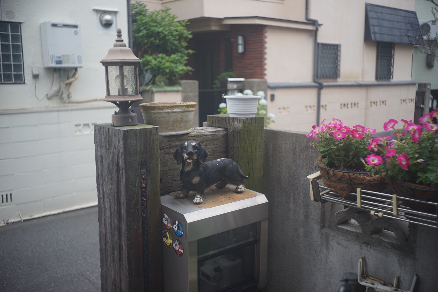 ズマロン 35mm F3.5 最初期型で_b0069128_09374086.jpg
