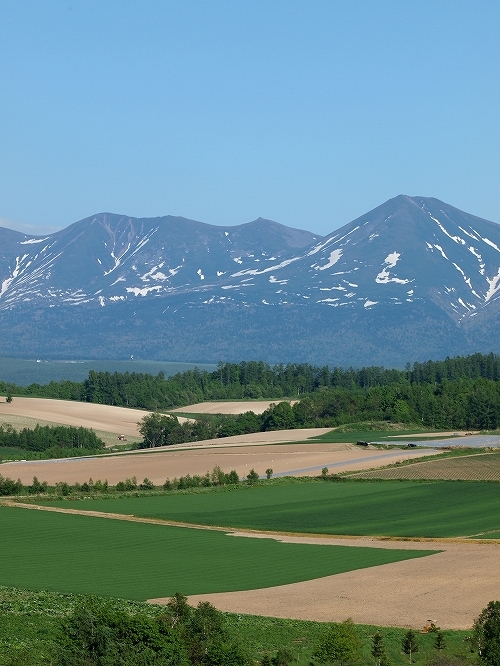 美瑛の風景②_f0116528_20304744.jpg