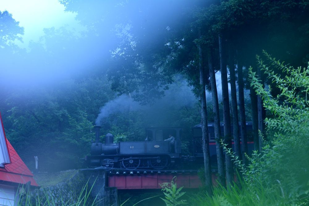 梅雨の12号機関車3_e0373930_17021800.jpg