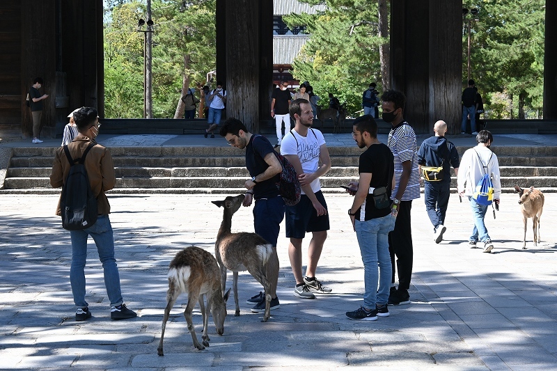 Japanese NARA ?_e0374932_06044255.jpg