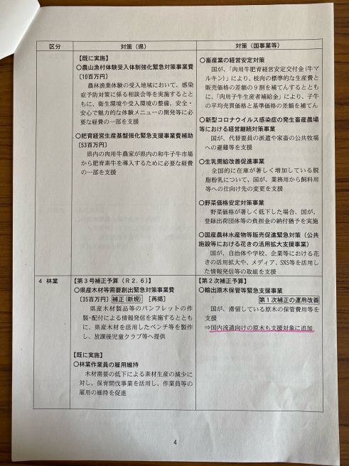 第3弾のコロナ対策〜臨時議会_b0199244_13575840.jpg