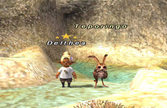 エンミネンスレコードNM巡り ~Teporingo~_e0401547_17590305.png