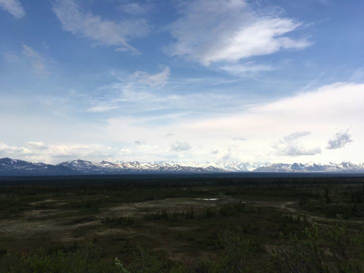 デナリ・ハイウェイ Denali Highway_b0135948_17130865.jpg
