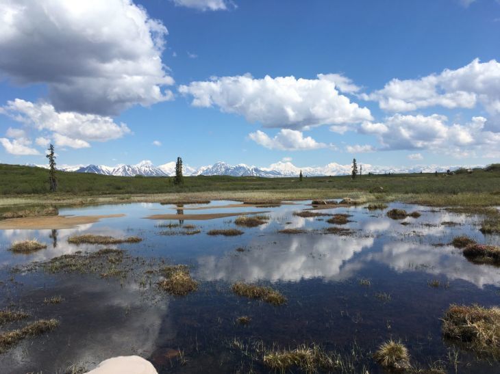 デナリ・ハイウェイ Denali Highway_b0135948_17270778.jpg