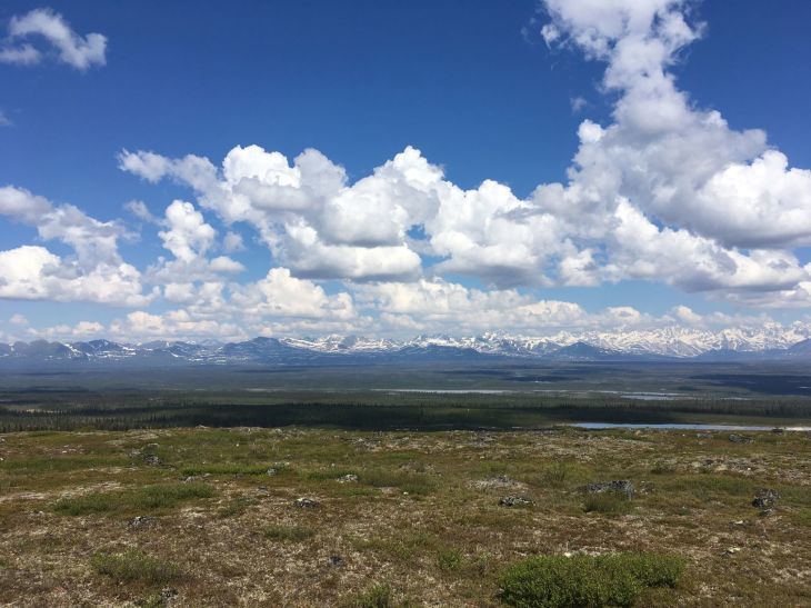 デナリ・ハイウェイ Denali Highway_b0135948_17303227.jpg