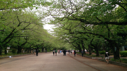 東京都美術館に行きました_c0405550_16462322.png