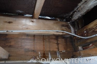 雨漏り点検とカビ_c0405550_16465069.jpg