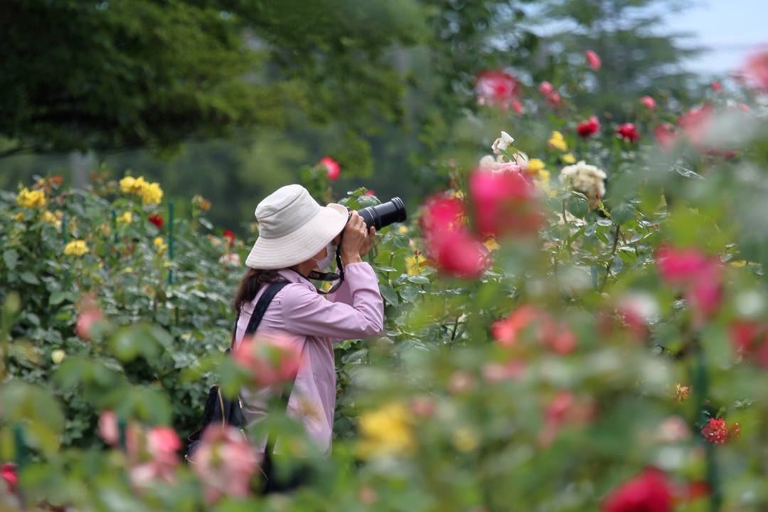 雨上がりの薔薇園_e0403850_20230479.jpg