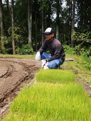 菊池水源棚田米 水にこだわる匠の田植え(2020) 後編_a0254656_17053106.jpg