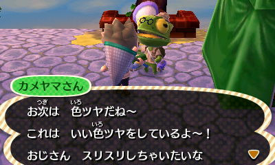 とびだせ どうぶつの森 ほのぼの生活綴り41 15年度最後の虫取り大会 ゲームに漫画 時々看護師