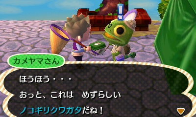 とびだせ どうぶつの森 ほのぼの生活綴り41 15年度最後の虫取り大会 ゲームに漫画 時々看護師