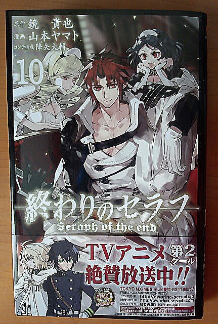 終わりのセラフ 小説シリーズ 一瀬グレン 16歳の破滅 吸血鬼ミカエラの物語 ゲームに漫画 時々看護師 終わりのセラフ 小説シリーズ 一瀬グレン 16歳の破滅 吸血鬼ミカエラの物語 ゲームに漫画 時々看護師