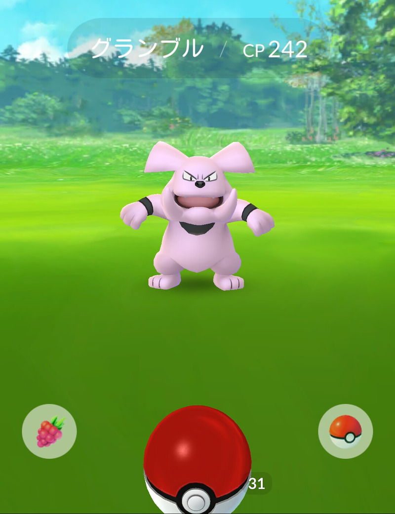 ポケモンgo ジョウト地方ポケモンを 片っ端からゲットしていく ゲームに漫画 時々看護師