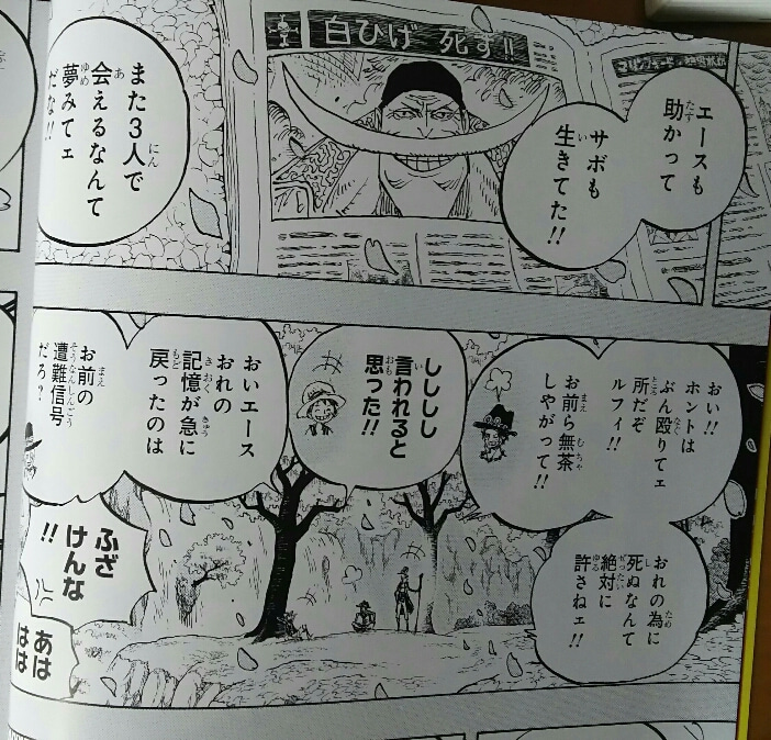 ワンピースマガジンvol2を購入 シャンクスの腕が復活 アシスタントさんの裏話が面白い ゲームに漫画 時々看護師