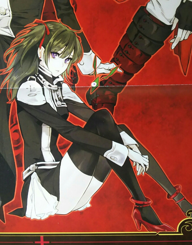D Gray Man 最新公式ファンブック 灰色ノ記録 グレイログ を購入 ゲームに漫画 時々看護師