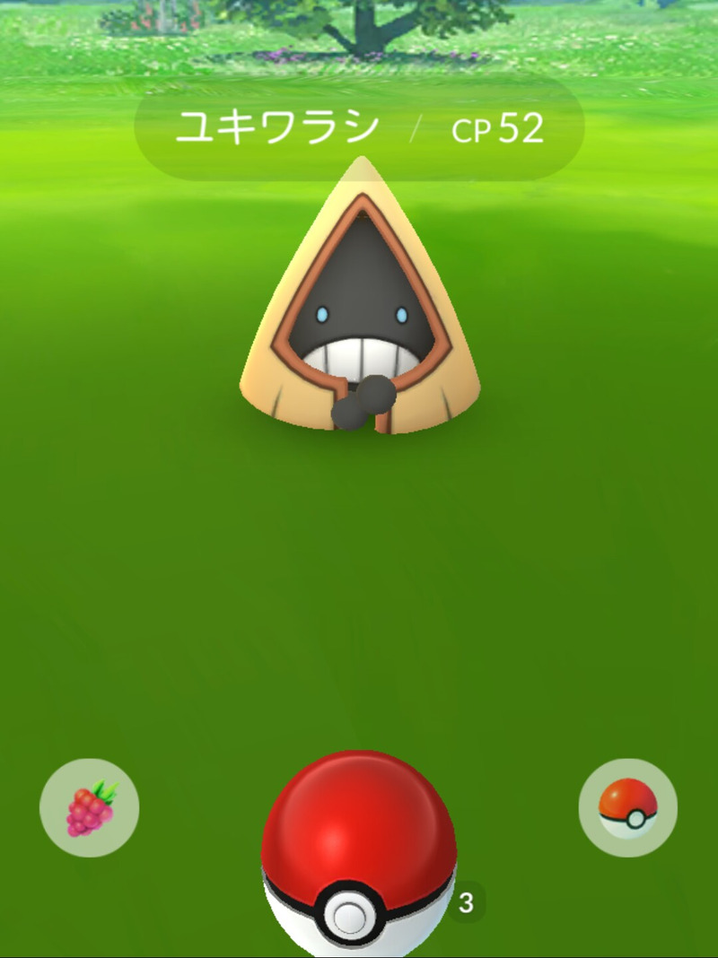 ポケモンgo 遂にデリバード登場 ルビー サファイア世代のポケモンも更に追加 ゲームに漫画 時々看護師