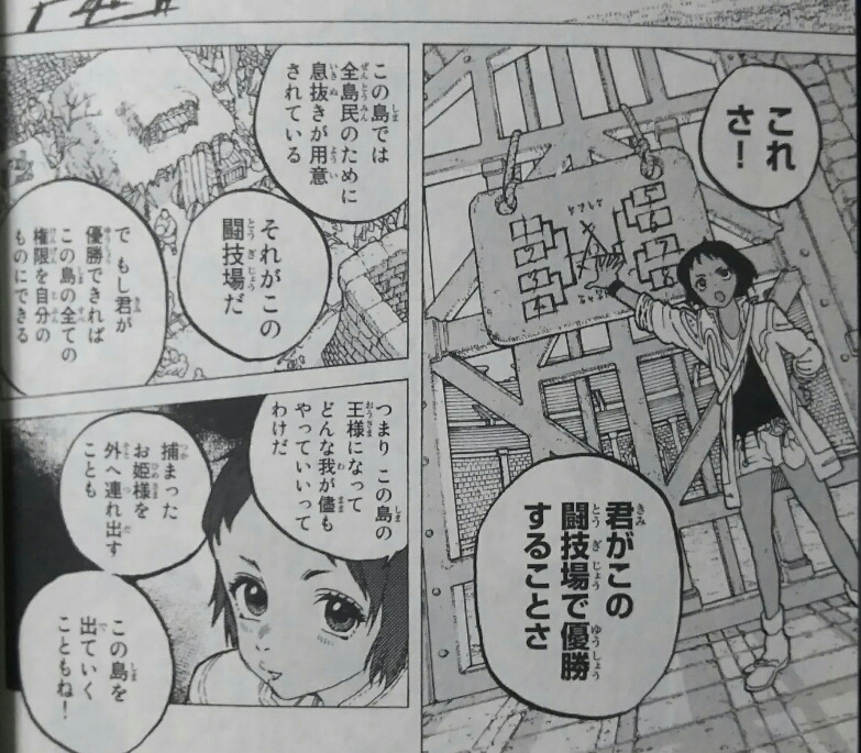 不滅のあなたへ 第6巻購入 ジャナンダ島完結編 ネタバレ無し感想 ゲームに漫画 時々看護師