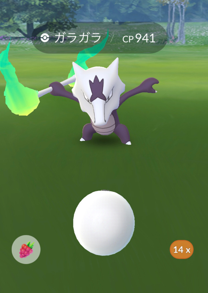 ポケモンgo レイドバトルで アローラポケモンを集める ゲームに漫画 時々看護師