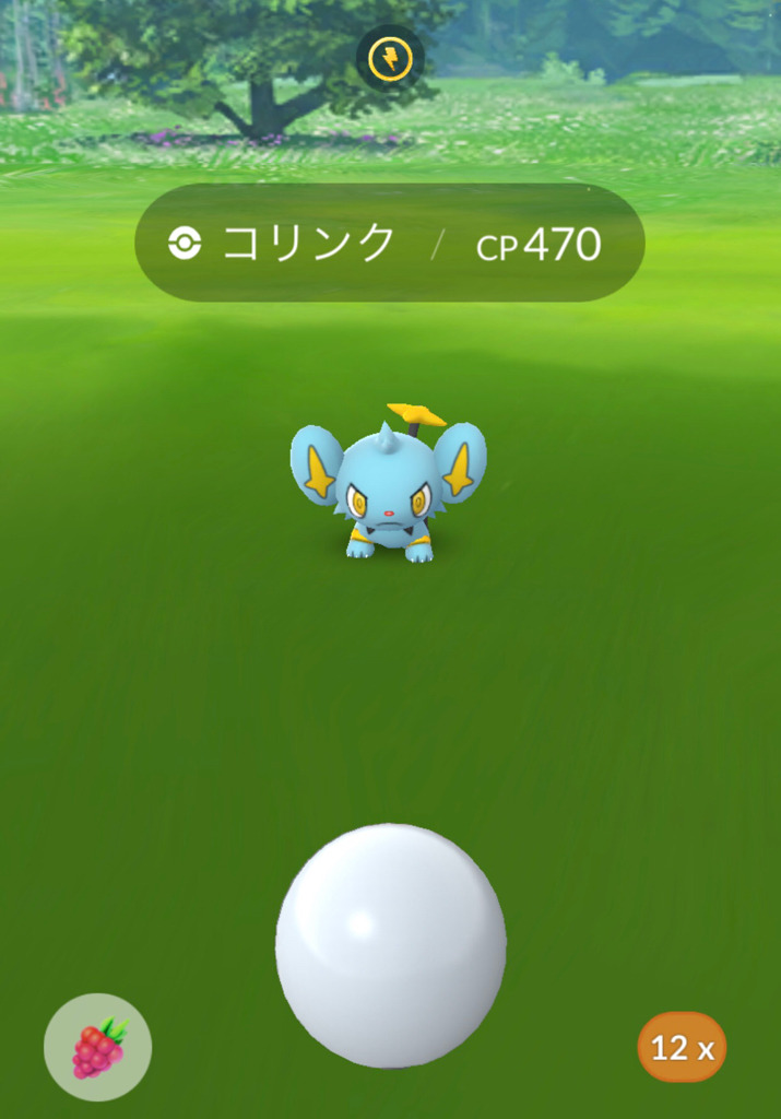 あけまして ポケモンgo ポケモン図鑑4匹目前 ホウエン地方日本図鑑コンプ 色違い更新 ゲームに漫画 時々看護師 あけまして ポケモンgo ポケモン図鑑4匹目前 ホウエン地方日本図鑑コンプ 色違い更新 ゲームに漫画 時々看護師
