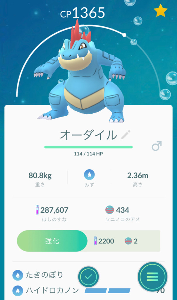 ポケモンgo 2回目のexレイドとワニノココミュニティデイに挑む ゲームに漫画 時々看護師 ポケモンgo 2回目のexレイドとワニノココミュニティデイに挑む ゲームに漫画 時々看護師