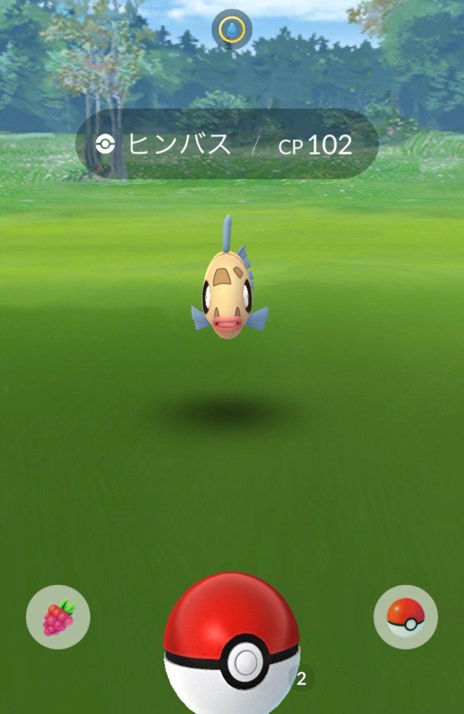 ポケモンgo ヒンバスのフィールドリサーチイベントに挑む ゲームに漫画 時々看護師