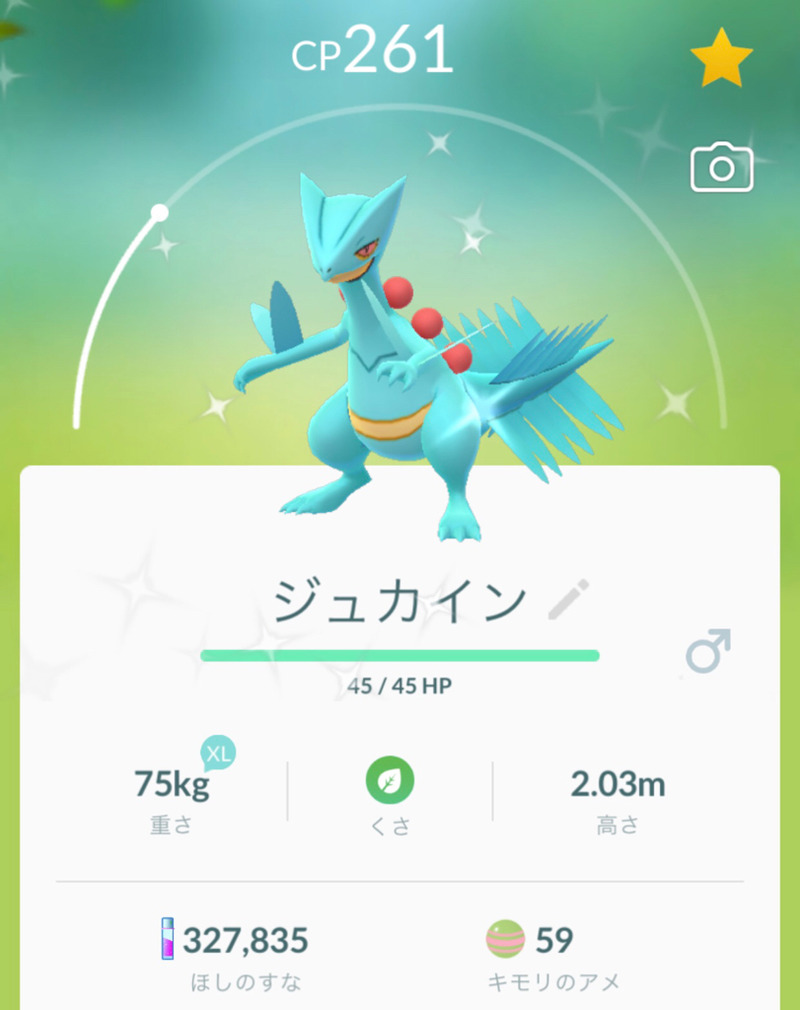 ポケモンgo 3月のイベント キモリのコミュニティデイやハスボーリサーチに挑む ゲームに漫画 時々看護師
