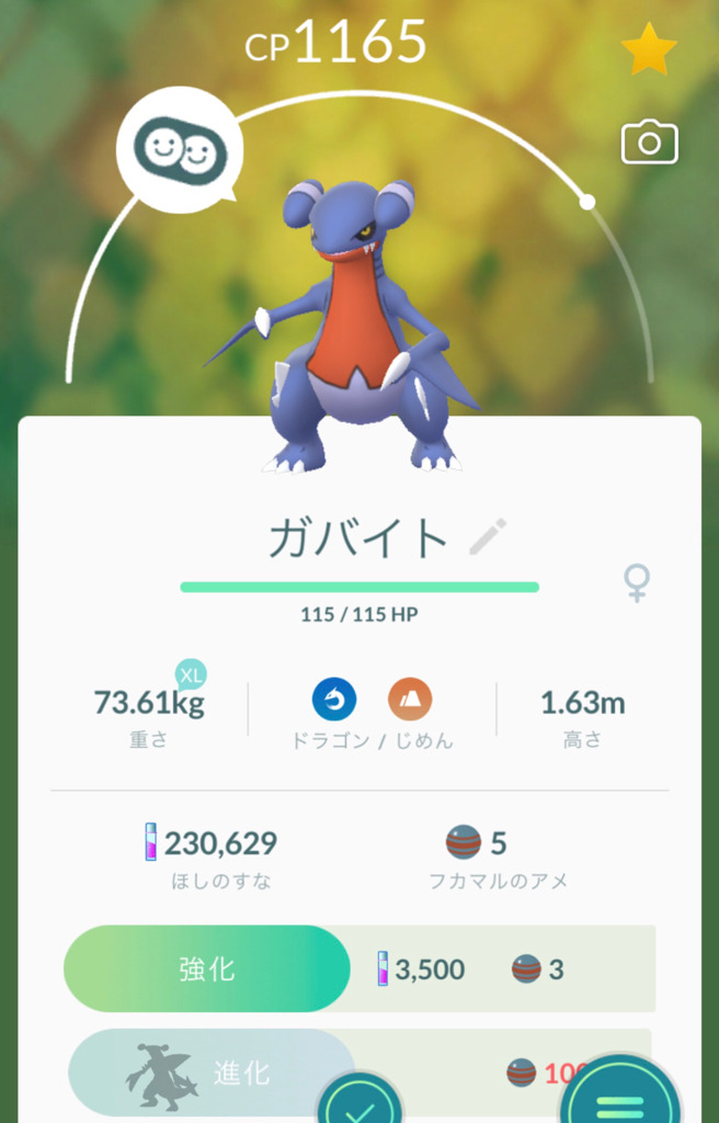 ポケモンgo 色違いラプラスを求めてラプラスレイドに参戦 その他新ポケモンゲット ゲームに漫画 時々看護師