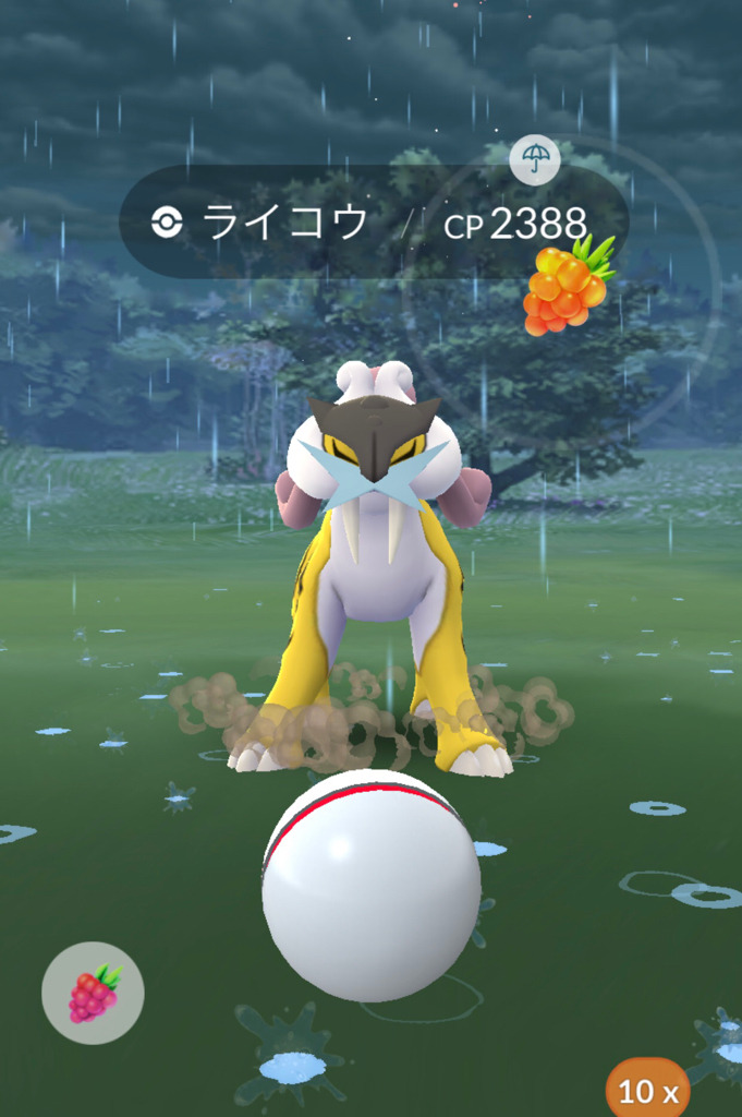 ポケモンgo 色違いライコウ カイオーガを求めて ひたすらレイドバトル ゲームに漫画 時々看護師