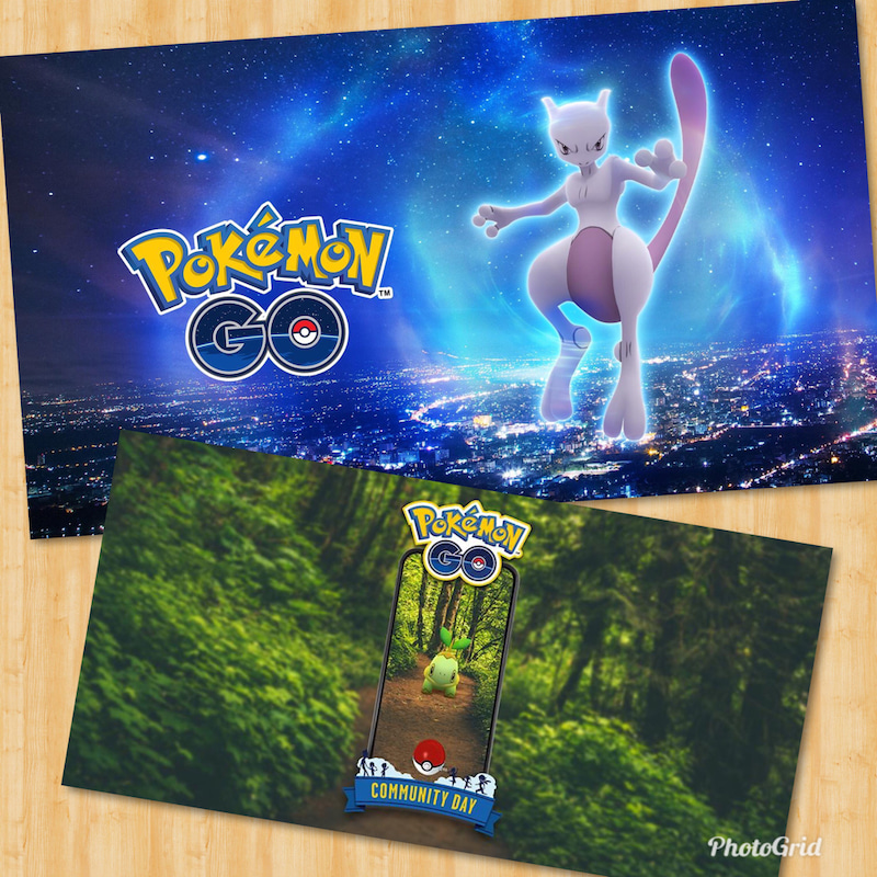 ポケモンgo 9月のイベント 色違い実装のミュウツーレイドとナエトルコミュニティデイに挑む ゲームに漫画 時々看護師