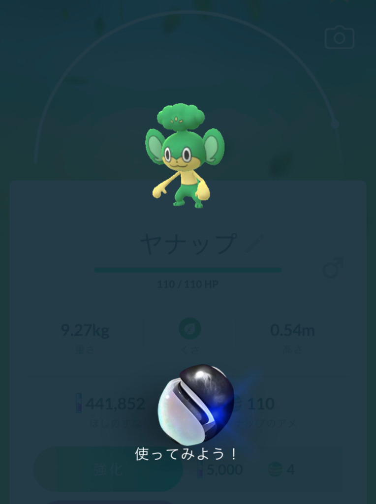 ポケモンgo シンオウ地方 新たなイッシュ地方ポケモンをゲットして図鑑を更新 Part2 ゲームに漫画 時々看護師 ポケモンgo シンオウ地方 新たなイッシュ地方ポケモンをゲットして図鑑を更新 Part2 ゲームに漫画 時々看護師