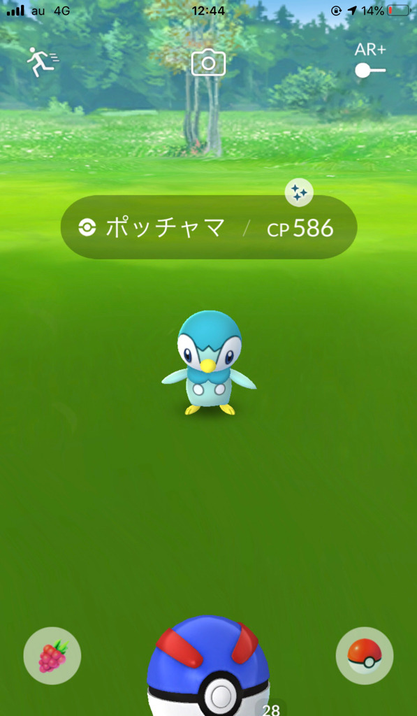 ポケモンgo 今更プレイ日記 1月のイベント タマゴマラソン と ポッチャマコミュニティデイ ゲームに漫画 時々看護師